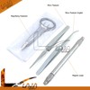 Laja Imports 4 Pcs Foreign Object Removal Kit Splinter Probe