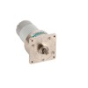 35W Micro DC Metal Gear Motor Speed Adjustable CW/CCW (24V
