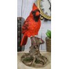 Wild Northern Red Cardinal Bird Perching on Tree Stump Spring