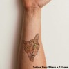 'Ginger Tabby Cat with Green Eyes' Temporary Tattoo - Water