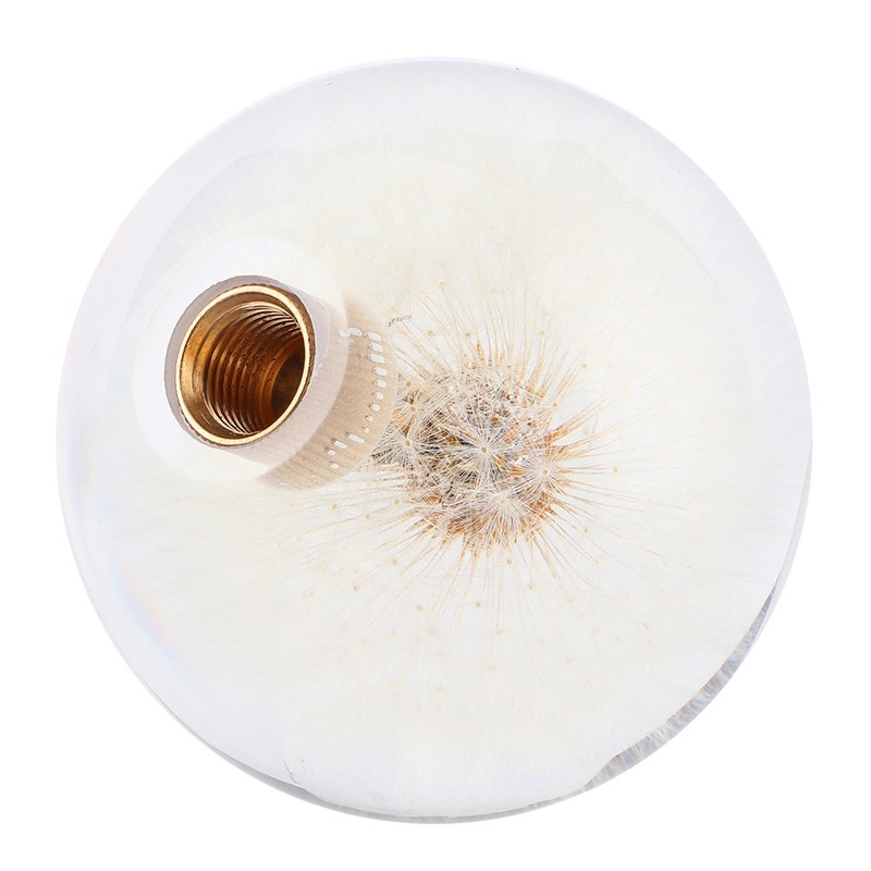 2.8in Shift Knob Crystal Real Dandelions Flowers Universal Accessory with