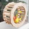Bird Running Wheel, Spinner Running Wheels for Bird, Chew Beak