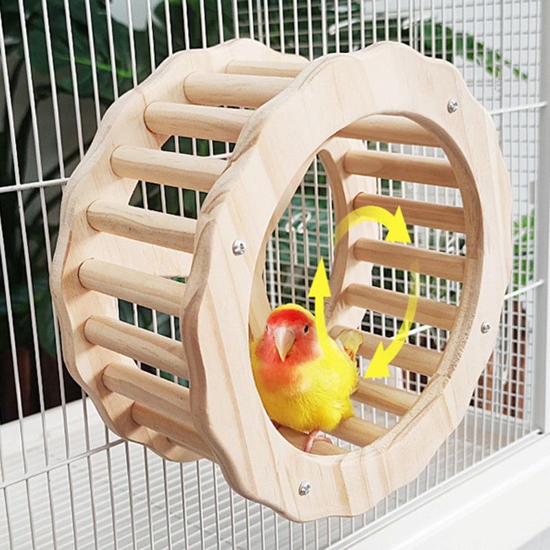 Bird Running Wheel, Spinner Running Wheels for Bird, Chew Beak