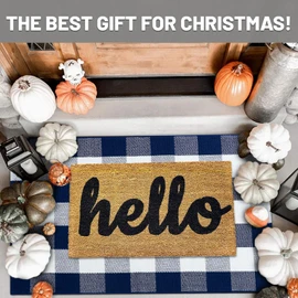IOHOUZE Buffalo Plaid Checkered Rug -27.5" X 43" Front Door Mats, Washable Rug for Front Porch Decor, Spring Summer Welcome Mats Outdoor, Navy White Rug for Farmhouse/Entryway/Home Entrance