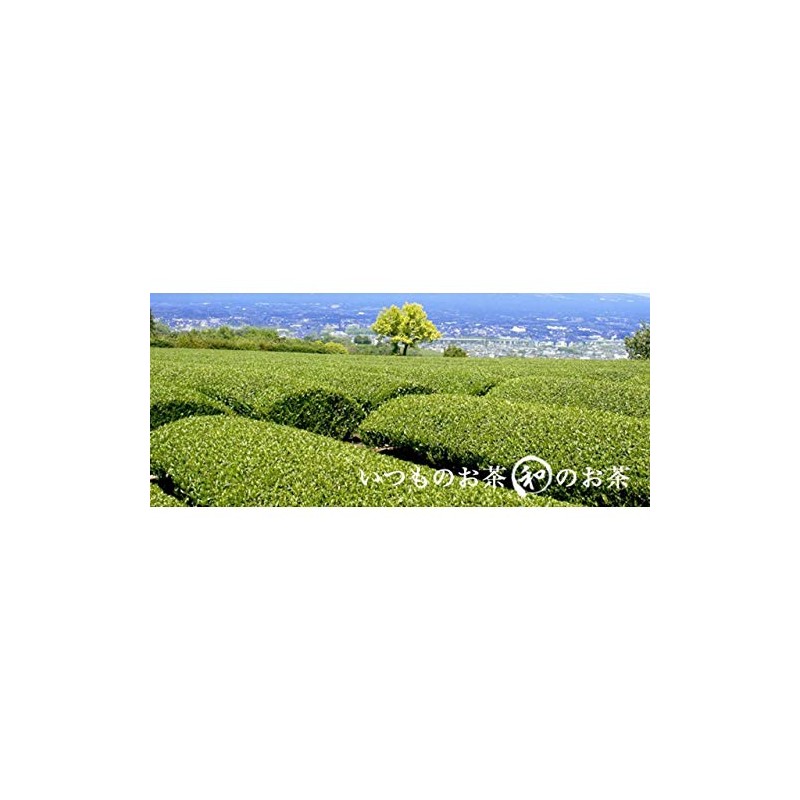 Try Green Tea Hanako Sakura Green Tea Bag, 0.08 oz