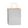NWP Metallic Silver Recycled Kraft Paper Shopping Bags - Cub