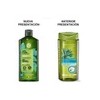 Shampoo Yves Rocher Anticaspa de 300mL de 300g