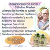 BICELL Celulas Madre BICELL BIOCELL 2Pack Regenerador Celular Natural BIOXCELL⭐⭐⭐⭐⭐