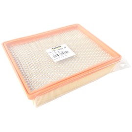 Kärcher 5.731-020 Flat Pleated Filter 5.731-020 NT 700/702 Eco/702 I / NT 551