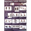 Productive Fitness Poster Series Upper Resistance Tubing Exercises Non-Laminated