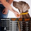 SparklyPets Heavy Duty Wide Dog Collar with Quick Release Chrome