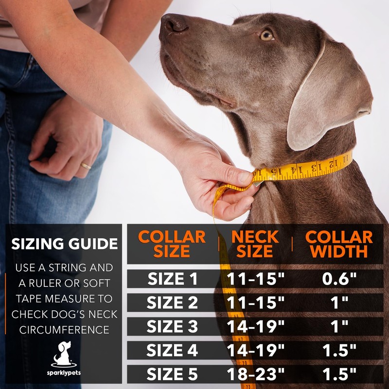 SparklyPets Heavy Duty Wide Dog Collar with Quick Release Chrome