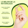 Toyocare Nad+ Nicotinamida Ribosida Antienvejecimiento 900mg