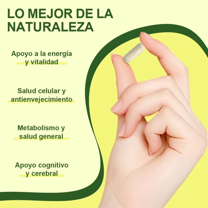 Toyocare Nad+ Nicotinamida Ribosida Antienvejecimiento 900mg