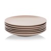 10 Strawberry Street Wazee Matte Coupe Dinnerware, Dinner Plate, Blush,