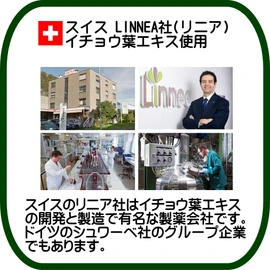 イチョウ葉 エキス +DHA 初回限定 リニアフラボン 90粒 スイス リニア社 フラボノイド サプリメント