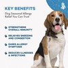 Dog Allergy Relief & Immune Support, Natural Holistic Itch Relief