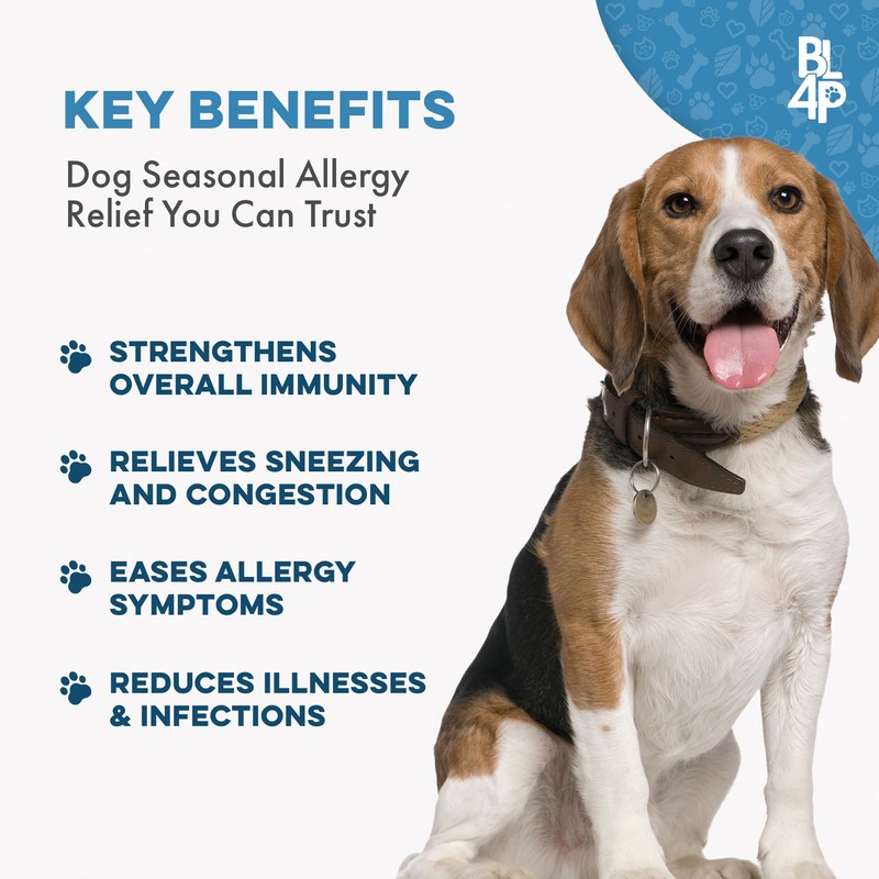 Dog Allergy Relief & Immune Support, Natural Holistic Itch Relief