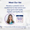 PetLab Co. Probiotic Support Chews – Daily Probiotic Supplements For