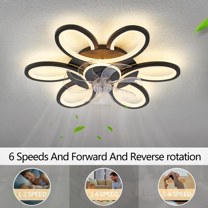 Black-Star ring Ceiling Fans with Lights and Remote, 27 Inch