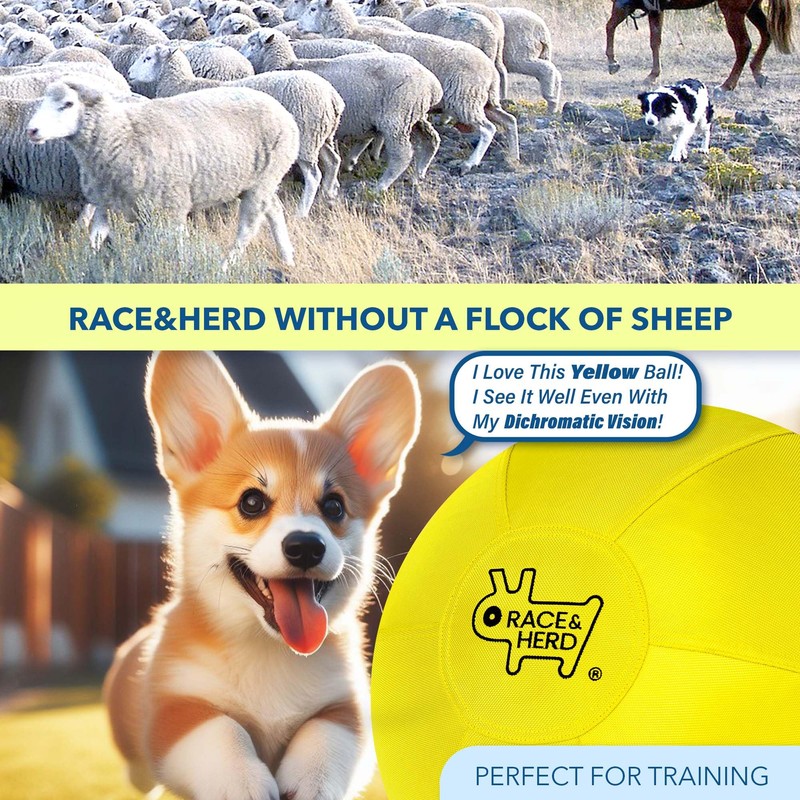 Race&Herd 18'' Original Herding Ball for Dogs, Giant Herding Ball