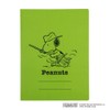 Nakabayashi FF-J8031-3PC Peanuts Flat File J A4S 3 Patterns (LG+SB+OR)