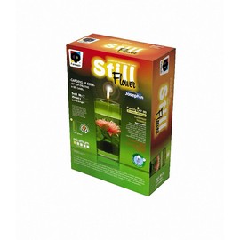 Josephin ELF294002 Still Flower The Set of Eden, Multi Colour, One Size