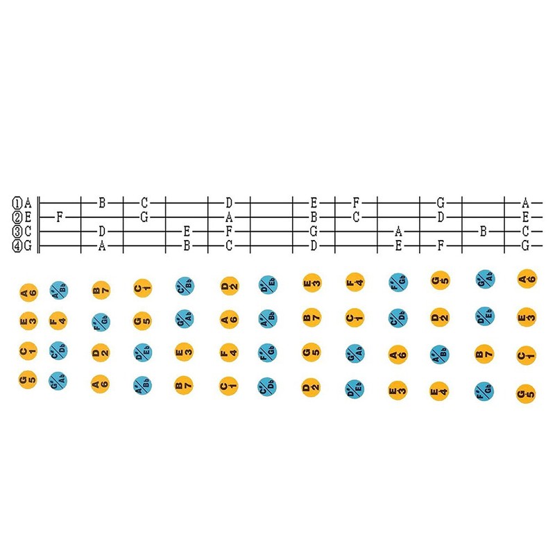 Alaman Guitar Transfer, Perfect for Beginners, 100 % Vinyl Multi-Coloured