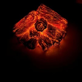 BSTCAR Fireplace Flameless Light 3D Simulated Charcoal Lamp LED Charcoal Burning Lamp with Realistic Log Wood Burning Flame Christmas Decoration (Flameless