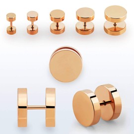 Fake Plugs Rose Gold Set of 2 Piercing Ear Stretcher Ear Plugs, Stainless Steel