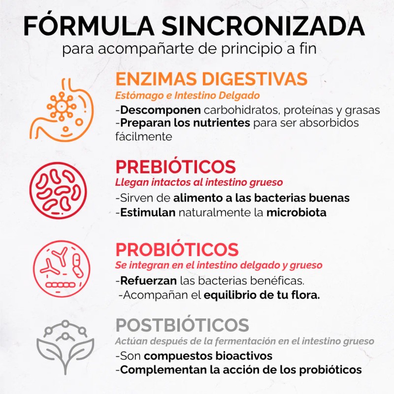 Enzimas Digestivas Probioticos Prebioticos Postbioticos Quadribioticos Complex 4 En 1