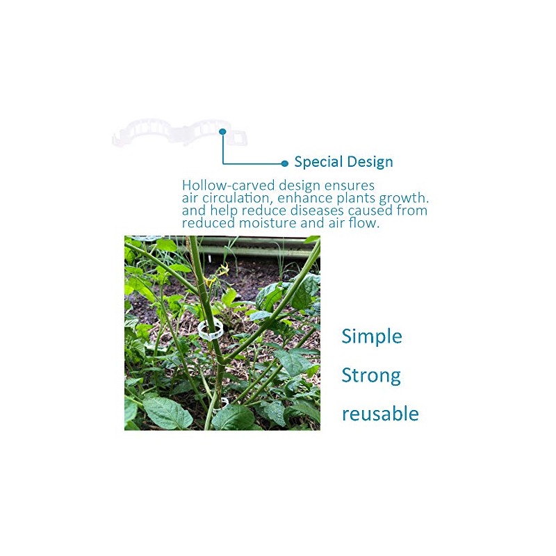 Greenhouse Trellising Kit - 10 Roller Hooks & 100 Support