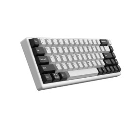 ARBITER Polar 65 - CNC Magnetic Gaming Keyboard w Rapid Trigger, Hall Effect Switches, CNC Aluminum Frame, Rapid Key, 65% Compact, Bright RGB, Dual-Shot PBT Keycaps - White Panda