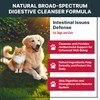 MaxBuddy Natural Intestinal Defense Herbal Cleanser for Cats and Dogs