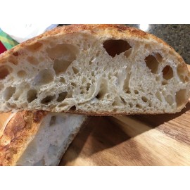 Unbranded San Francisco live SOURDOUGH STARTER 150 y/o Certified Organic + recipes sally z