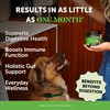 Probiotics for Dogs for Occasional Diarrhea & Bowel Support, Digestive