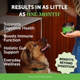 Probiotics for Dogs for Occasional Diarrhea & Bowel Support, Digestive Enzymes with Prebiotics for Gut Health for Dogs, Immunity Health & Itch Relief (Pumpkin 90 ct)