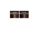 L'OREAL Casting 400 Brown Cream No Ammonia - Estrosa Hair