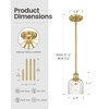 zeyu Modern 1 Light Hanging Lamp, Hanging Lighting Fixture Set