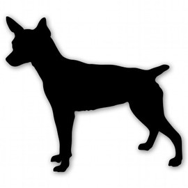 Rat Terrier Dog Breed Vinyl Sticker - Car Phone Helmet - Select Size