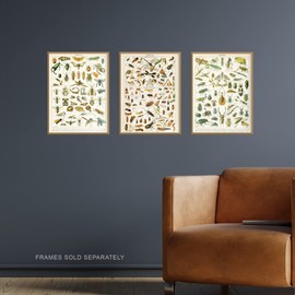 Artery8 Insects Bugs And Beetles Retro Vintage Millot Set Of 3 Unframed Wall Art Prints Study Office Aesthetic Illustrations A4
