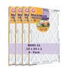 Arm & Hammer Max Allergen & Odor Reduction 14x24x1 Air