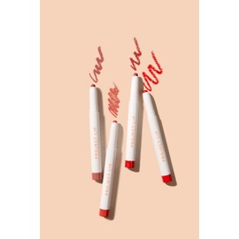 PROJECT LIP - PLUMP & FILL LIP LINER - SHADE FLIRT