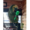 HEUHAI 12 Pack Colorful Bell Balls Bird Toys for Parakeets