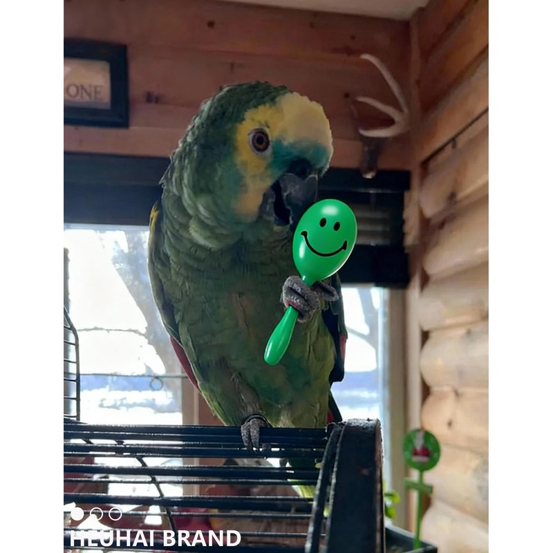 HEUHAI 12 Pack Colorful Bell Balls Bird Toys for Parakeets