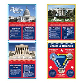 Fun Express Branches of Government Posters Set of 4 - Educational Posters for Classroom High School & Middle School | US History Social Studies Decor | Civics Charts for American Government Learning