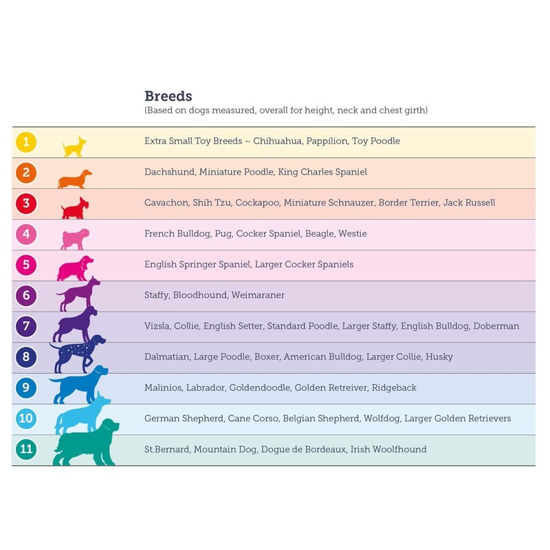 Doodlebone Snappy Harness, Violet, 3