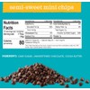 Enjoy Life Bulk Semi-Sweet Mini Chocolate Chips, Vegan, Dairy Free,