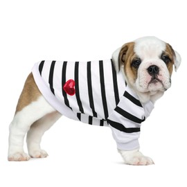 Preferhouse Pet Dog Striped T-Shirt Dogs Cats Cotton Vest Spring Summer Pet Apparel Tee Shirt Suitable for Small and Medium Large Pets French Bulldog Bichon