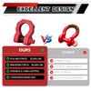 BHock Auto 3/4" D Ring Shackles, 2 Pack Heavy Duty